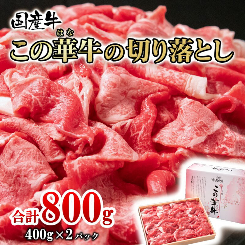 【ふるさと納税】【楽天限定】国産牛 切り落とし「800g」 400g×2P 牛肉 有田牧畜産業 ふるさと納税 訳あり