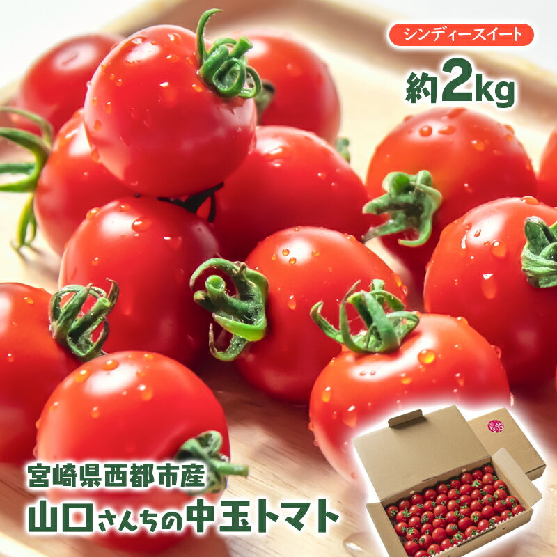 【ふるさと納税】山口さんちの中玉トマト（約2kg）宮崎県 西都市のサムネイル