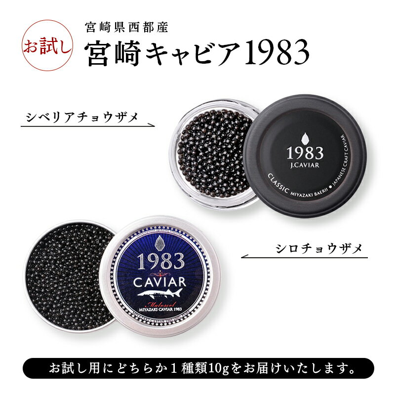 【ふるさと納税】『キャビア』訳あり お試し 宮崎キャビア1983 10g「国産」＜1.7-28＞