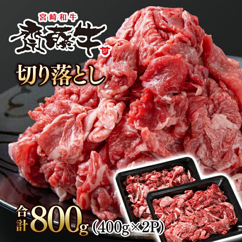 宮崎和牛「齋藤牛」切り落とし800g(400g×2パック)国産 牛肉 小分け 訳あり[1.2-61]