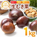 【ふるさと納税】<訳あり>新鮮朝採れ「むき栗」1kg 国産 宮崎県 西都市 くり<1.1-20>