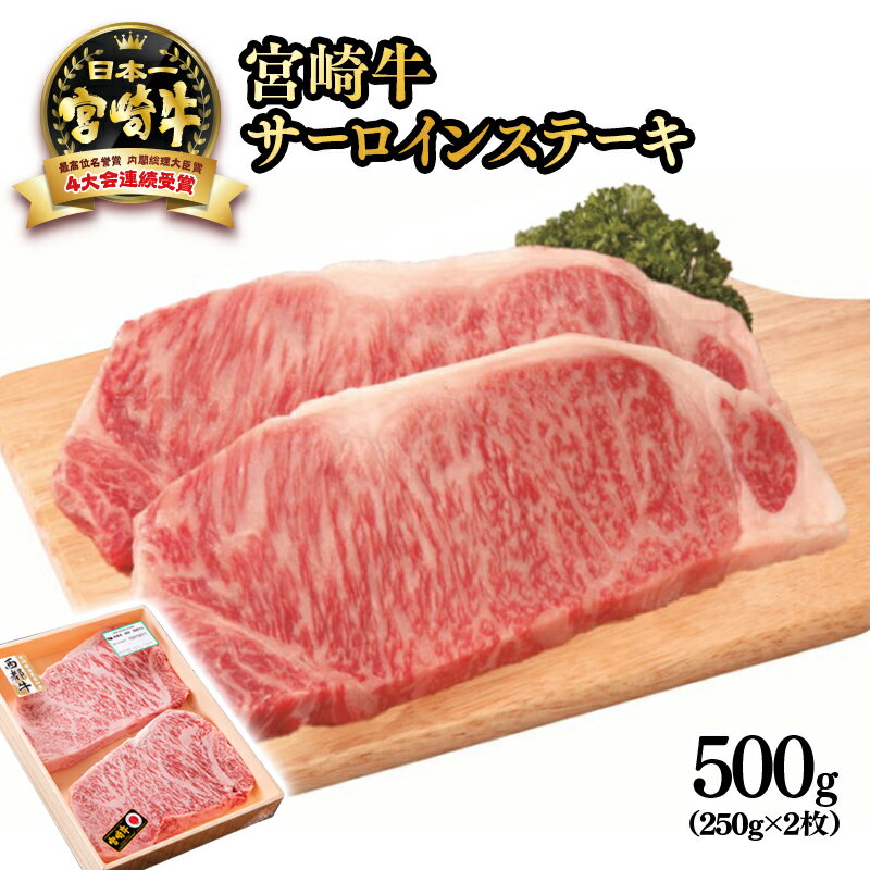 【ふるさと納税】「宮崎牛」サーロインステーキ 500g(250g×2枚) 牛 肉 牛肉 国産 ふるさと納税 宮崎牛 黒毛和牛 ステーキ 数量限定 Aコープ