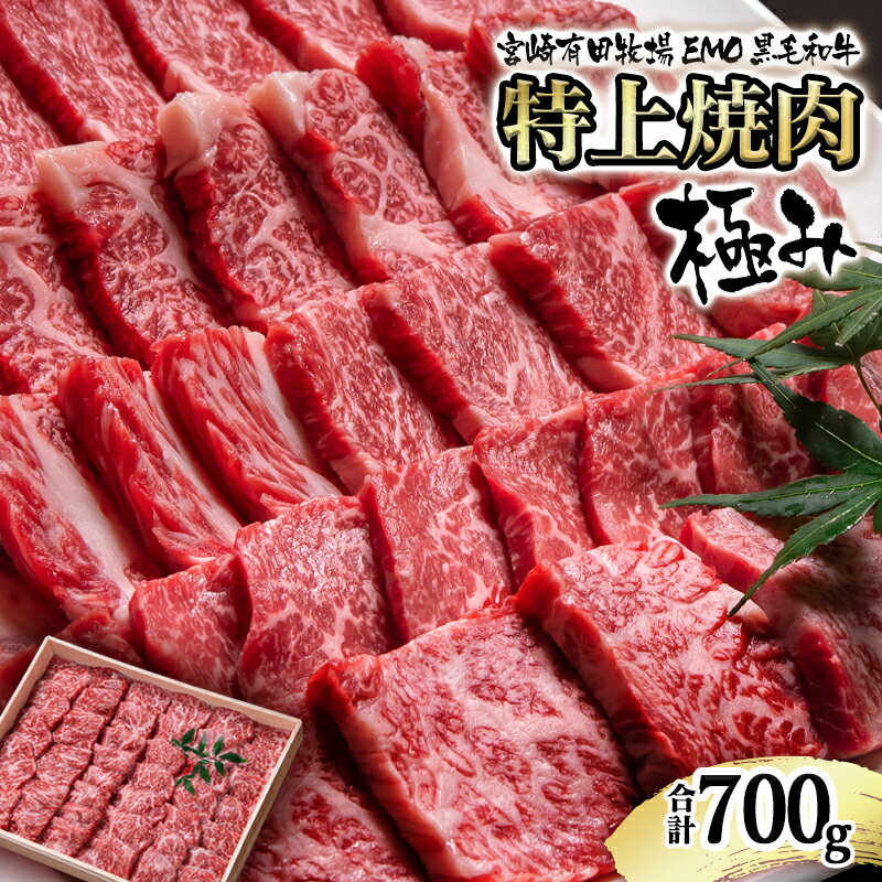 【ふるさと納税】＼(年内発送)／国産黒毛和牛 特上焼肉 700g 極み 宮崎EMO 国産 牛肉 焼肉 数量限定 宮崎のサムネイル