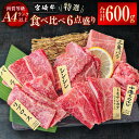 【ふるさと納税】「宮崎牛」特選食べ比べ6点盛り(合計600g) 4等級以上 ふるさと納税 宮崎牛 焼肉 黒毛和牛 宮崎県 西都市 ロース カルビ 赤身 特選赤身...