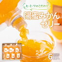 25位! 口コミ数「0件」評価「0」陽蜜みかんゼリー飲めるパウチタイプ（170g×6個）西都市産陽蜜みかん 常温