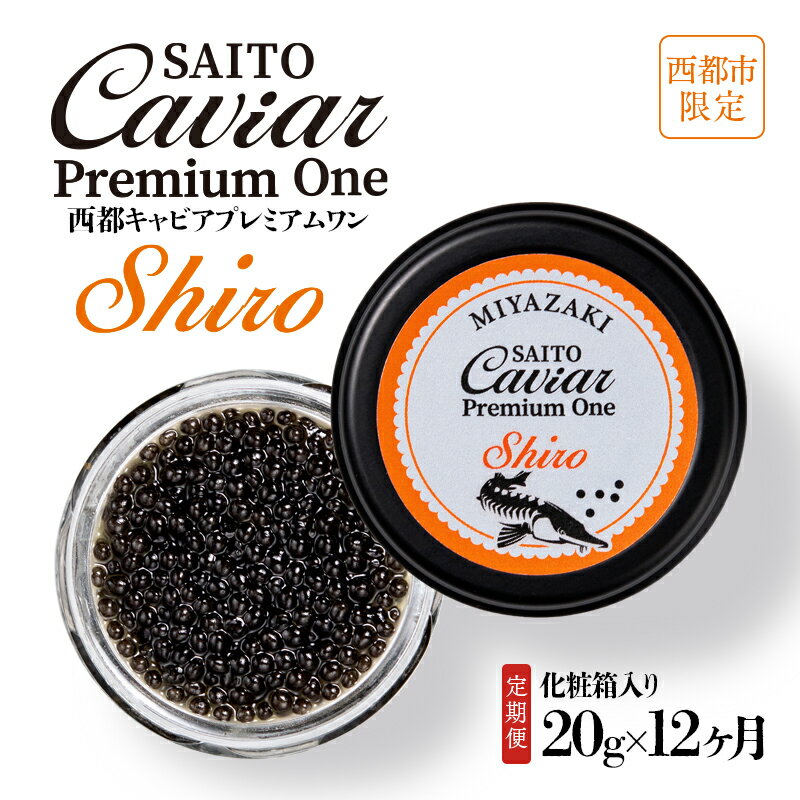 【ふるさと納税】【定期便】キャビアSAITO CAVIAR PREMIUM ONE SHIRO（20g×12ヶ月）「西都限定」「国産..