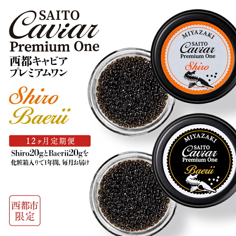 【ふるさと納税】【定期便】キャビアSAITO CAVIAR PREMIUM ONE SHIRO＆BAERII（各20g×12ヶ月）「西都限定」「国産」キャビア＜87-1＞西都市 化粧箱 シェルスプーン付