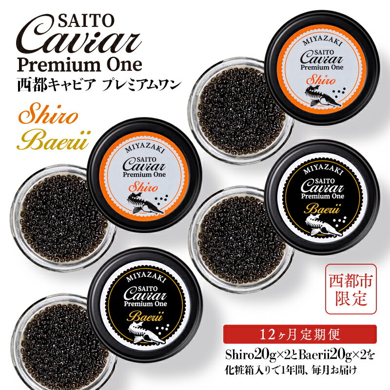 【ふるさと納税】【定期便】キャビアSAITO CAVIAR PREMIUM ONE SHIRO＆BAERII（各40g×12ヶ月）「西都限定」「国産」キャビア＜173-1＞西都市 化粧箱 シェルスプーン付