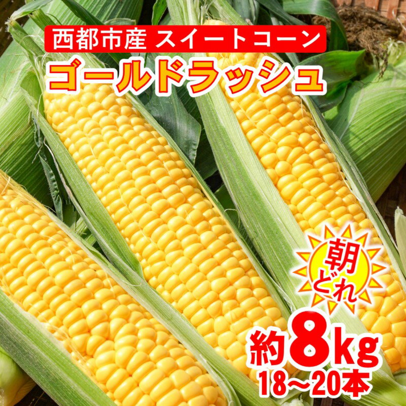 朝どれ スイートコーン 約8kg ゴールドラッシュ（18本～20本）西都市【先行予約】宮崎県 Y