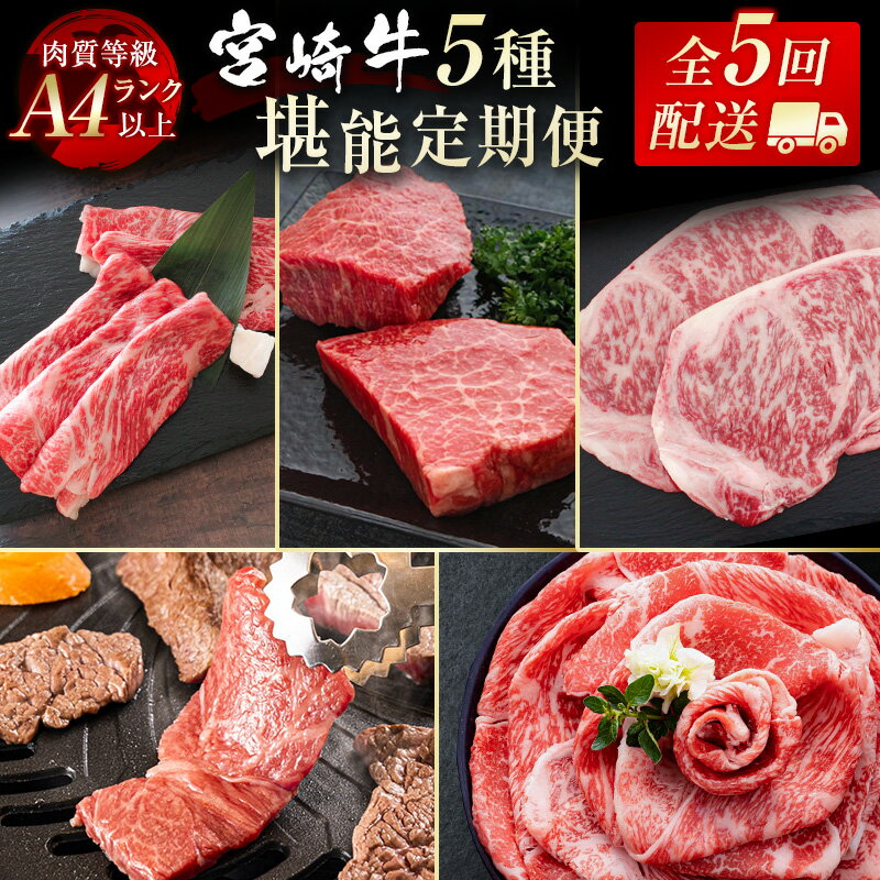 『定期便』「宮崎牛」お楽しみ5回定期便 偶数月 小分け 黒毛和牛 牛 肉 牛肉 国産 ふるさと納税 黒毛和牛 数量限定 赤身スライス しもふりスライス モモステーキ サーロイン W