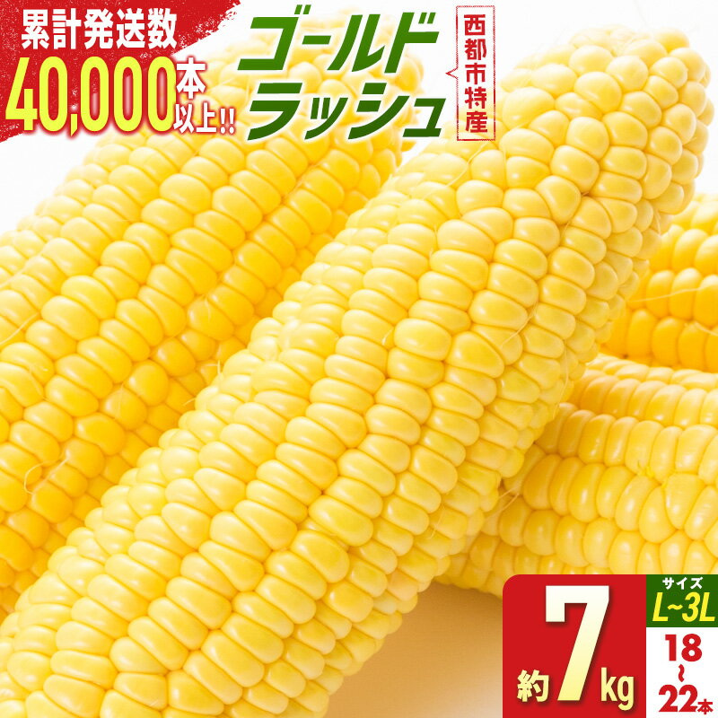 自慢のスイートコーン(約7kg)「楽天限定」ゴールドラッシュ「先行予約」 宮崎県 西都市産 とうもろこし さいと サイト