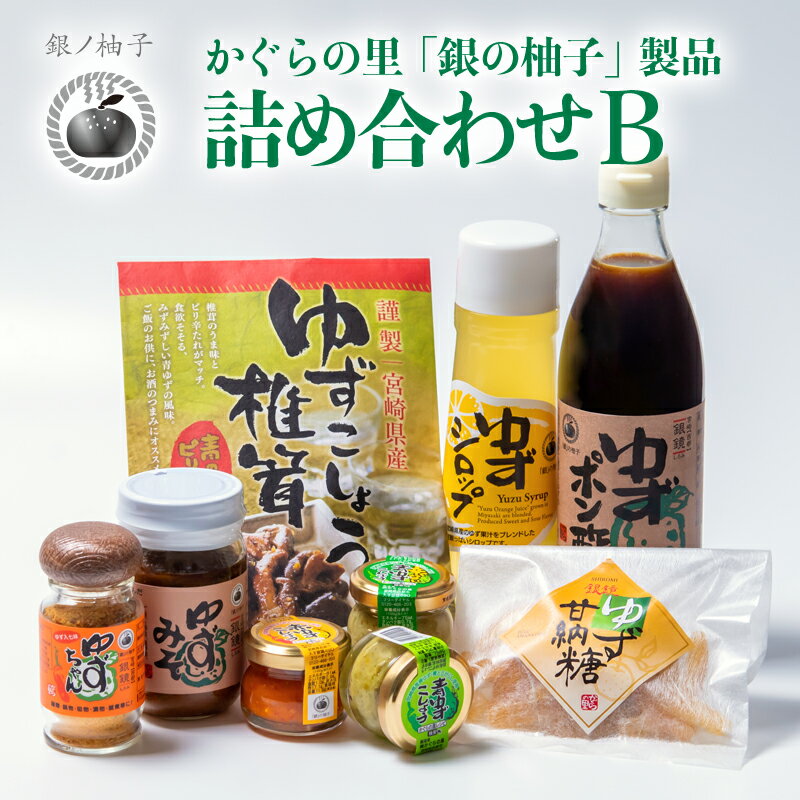 【ふるさと納税】 銀の柚子 製品詰め合わせ B 宮崎県西都市産 ゆず＜1-75＞