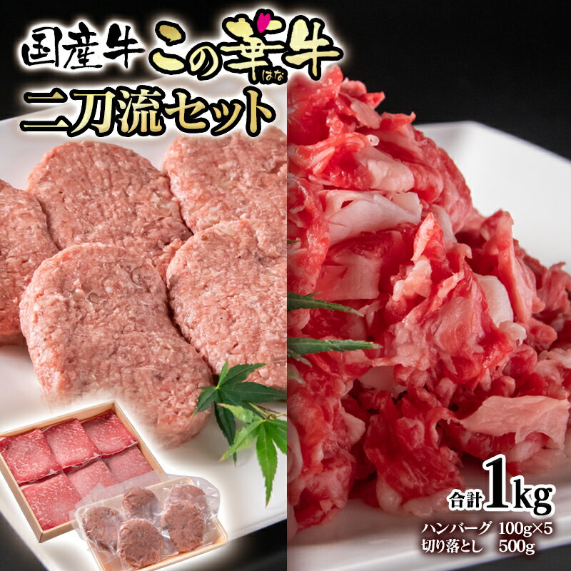 【ふるさと納税】合計1kg！国産牛切り落とし500g＆牛10