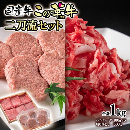 合計1kg！国産牛切り落とし500g＆牛100％ハンバーグ100g×5個　二刀流セット　この華牛＜1.1-27＞ハンバーグ100g×5個 切り落とし500g ふるさと納税 ハンバーグ 訳あり おつまみ 牛肉 国産 ★