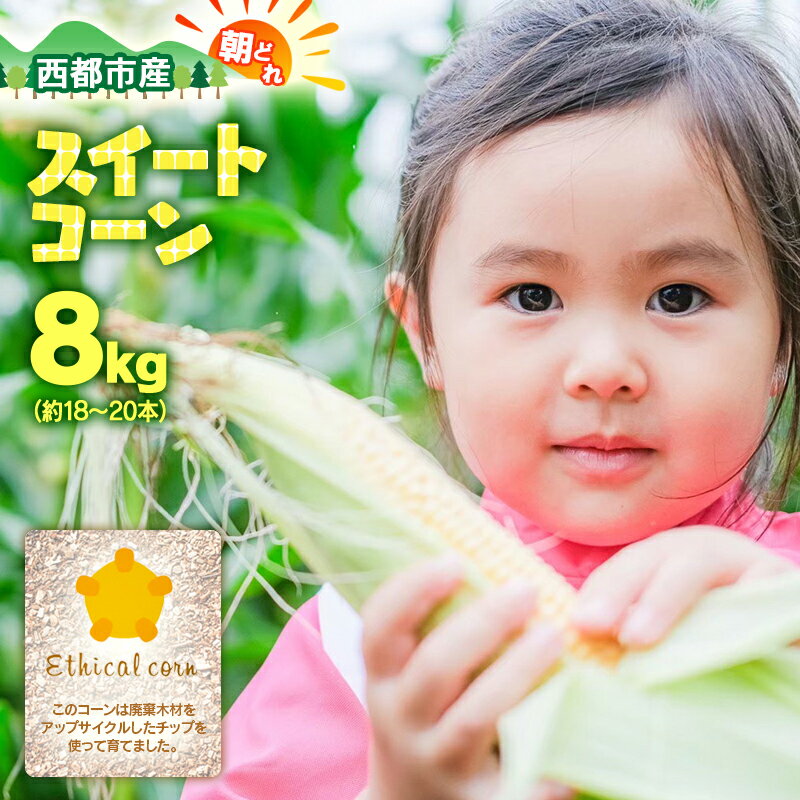 【ふるさと納税】西都市産 朝どれ『スイートコーン』8kg（約18～20本） ゴールドラッシュ 宮崎県 ふるさと納税