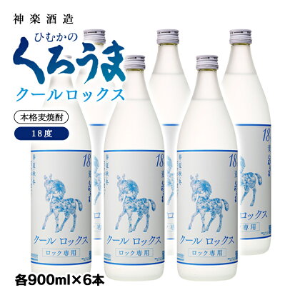 天孫降臨 クールロックス 芋焼酎 18度900ml×6本＜2.1-11＞神楽酒造 宮崎県 焼酎