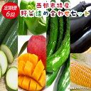 【ふるさと納税】西都市特産 野菜・マンゴー詰め合わせセット(...
