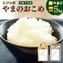 【ふるさと納税】米 新米 ひのひかり 5kg 白米 玄米 選べる 令和7年産 九州 霧島 えびの産 ヒノヒカリ 農家 直送 お米 おこめ 精米 ふるさと納税 5...