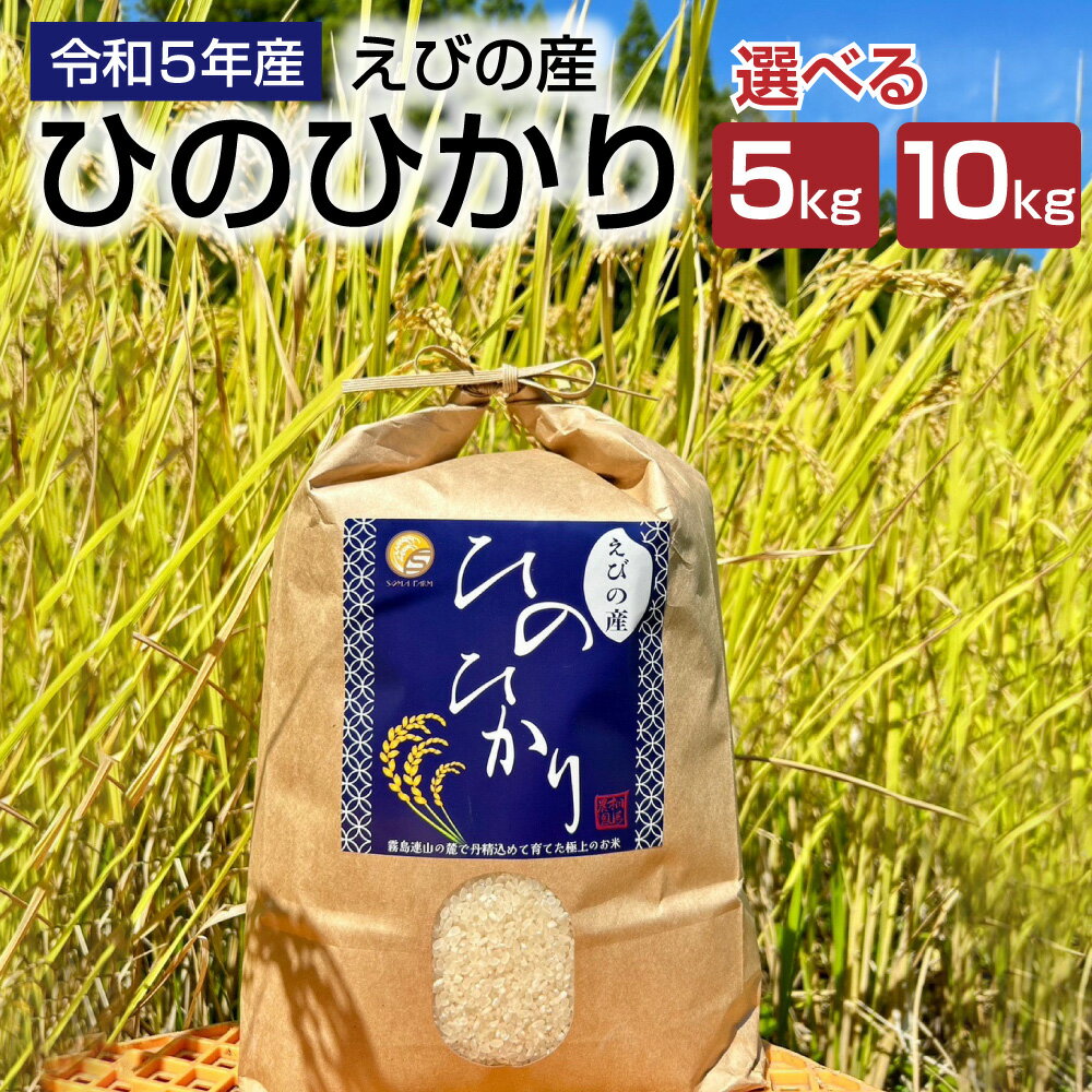 【ふるさと納税】【令和5年度】えびの産 ヒノヒカリ 5kg または 10kg 米 お米 白米 ごはん ひのひかり 精米 おこめ おにぎり お弁当 TKG お取り寄せ 冷めても美味しい 宮崎県 えびの市 送料無料のサムネイル