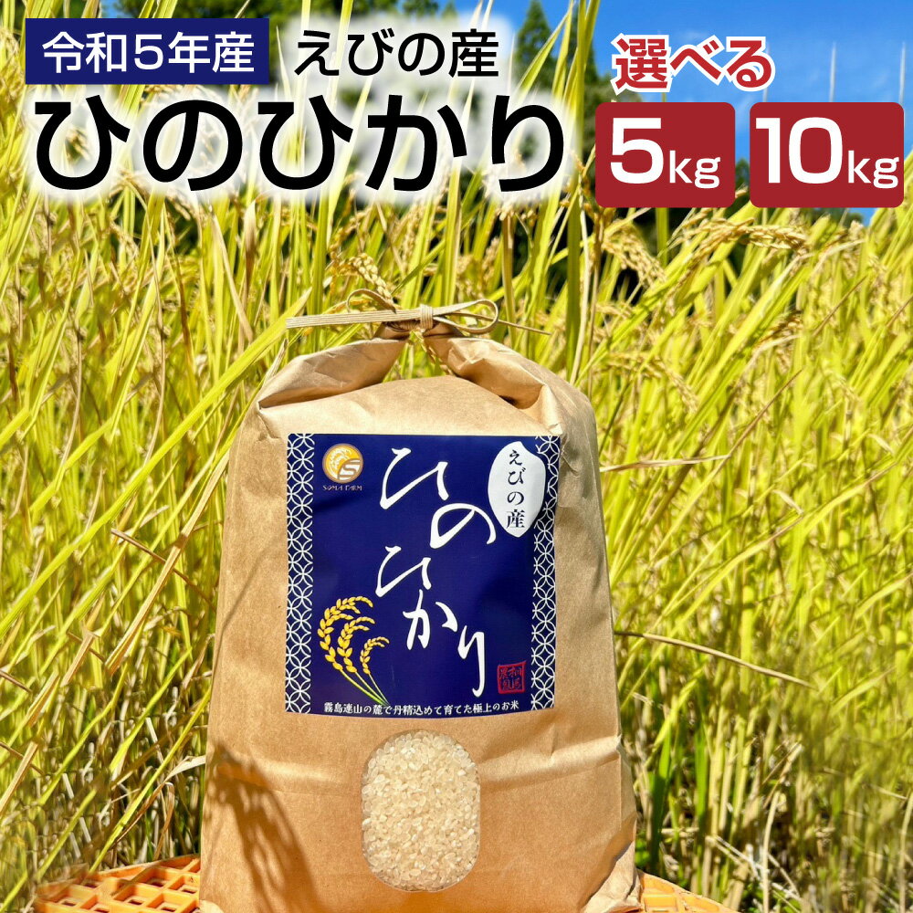 【ふるさと納税】えびの産 ヒノヒカリ 5kgまたは10kg お米 米 白米 ごはん 精米 おこめ おにぎりお弁当 お取り寄せ 宮崎県 えびの市 送料無料