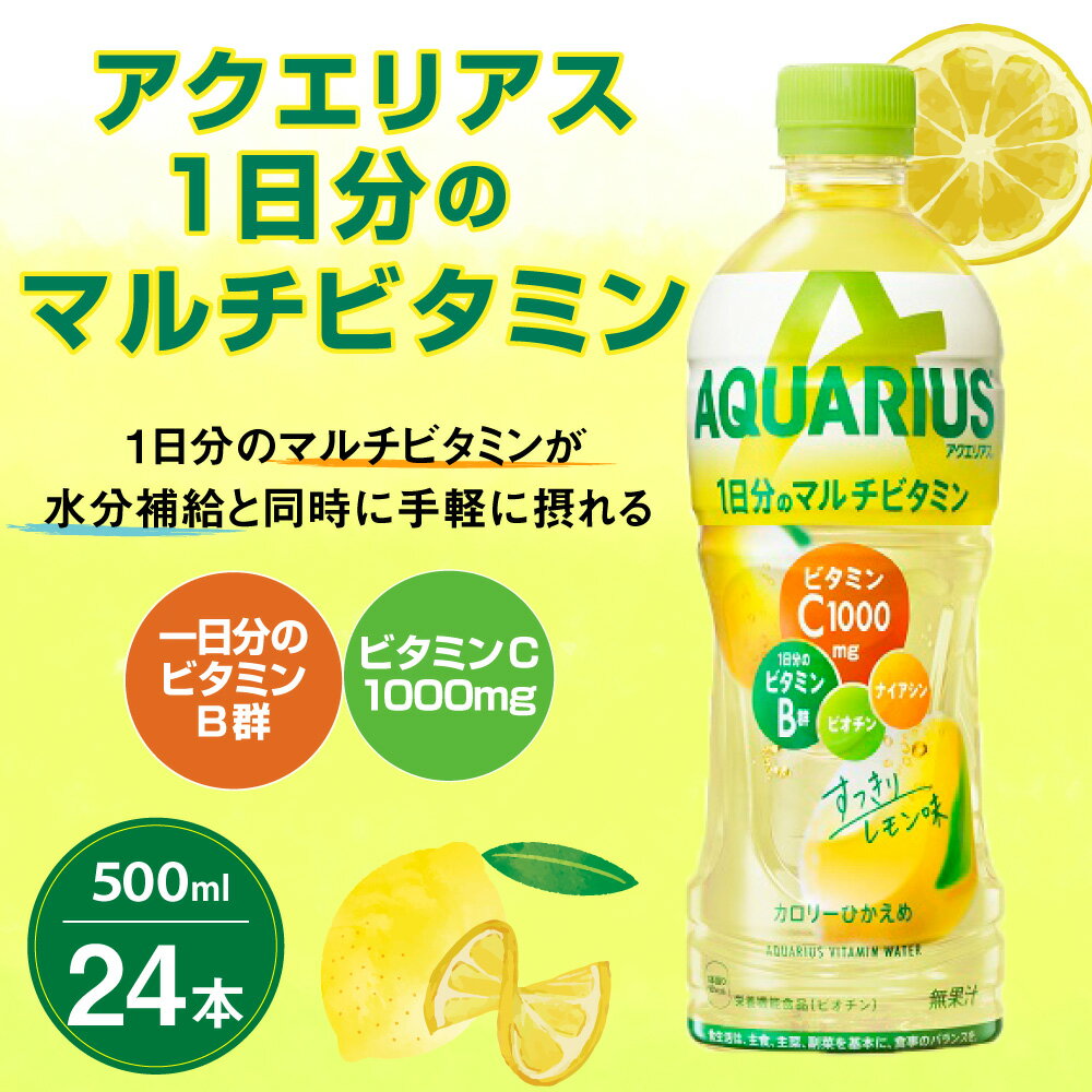 【ふるさと納税】アクエリアス 1日分のマルチビタミン PET 500ml×24本 1ケース 水分補給 スポーツ飲料 清涼飲料水 常温 AQUARIUS コカ・コーラ 熱中症対策 送料無料