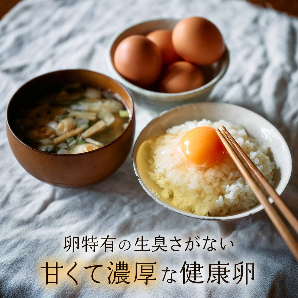 【ふるさと納税】【お届け月が選べる】卵 えびのの大自然で育ったこだわりタマゴ 康卵 108個 破損保証10個含む 赤 MSサイズ 卵 たまご 玉子 鶏卵 鶏 国産 九州産 送料無料 卵白 卵黄 ゆで卵 卵かけごはん TKG たまごかけごはん エッグ
