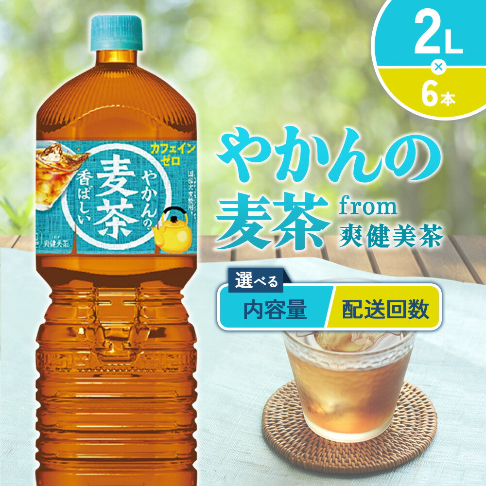 宮崎県えびの市の画像2