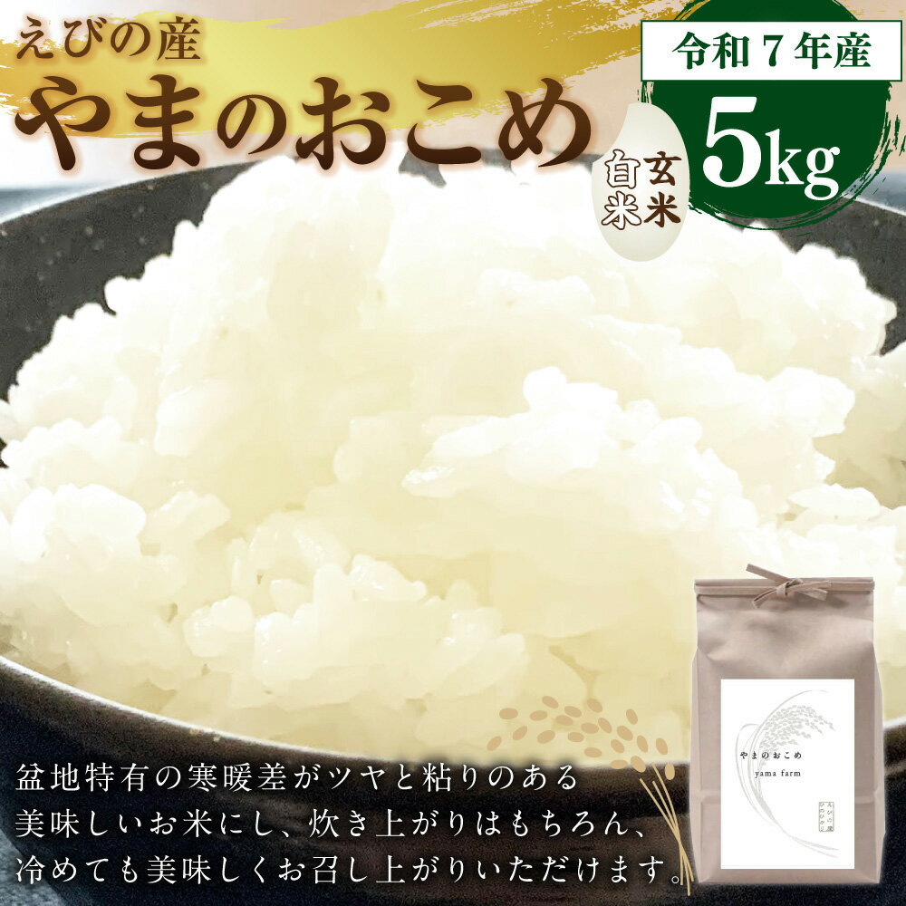 宮崎県えびの市の画像2