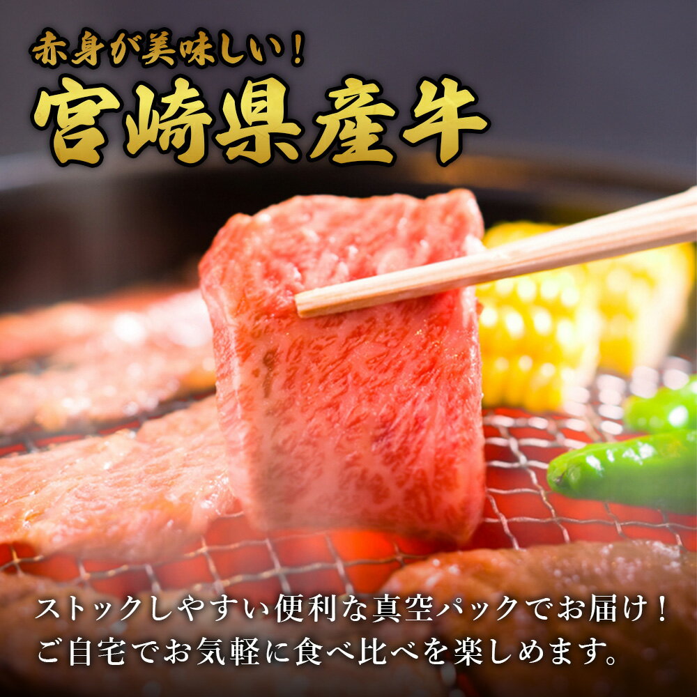 宮崎県えびの市の画像2