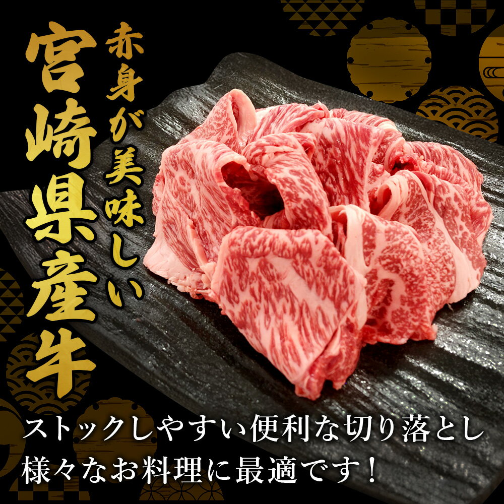 宮崎県えびの市の画像2