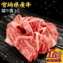 【ふるさと納税】【部位/容量 選べる】宮崎県産 黒牛 切り落とし 肩ロース バラ 400g 800g 1.2kg 1.6kg 赤身 牛肉 切り落としセット 肉 お肉 牛 国産牛 食べ比べ セット 小分け 真空パック コスパ 冷凍 贈答 ギフト 人気 国産 えびの市 送料無料