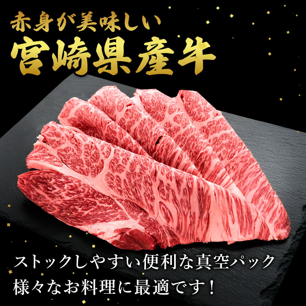 宮崎県えびの市の画像2