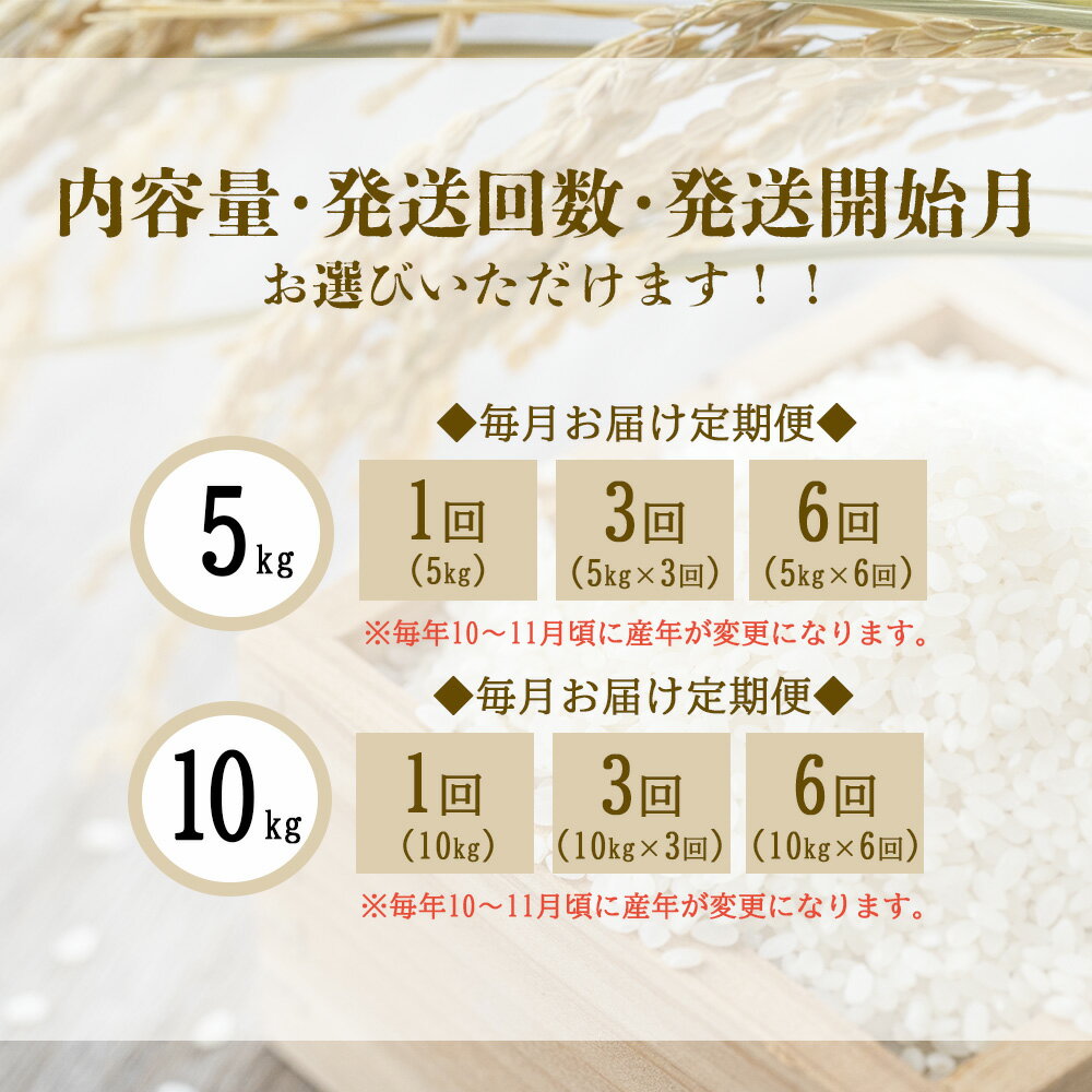 宮崎県えびの市の画像3