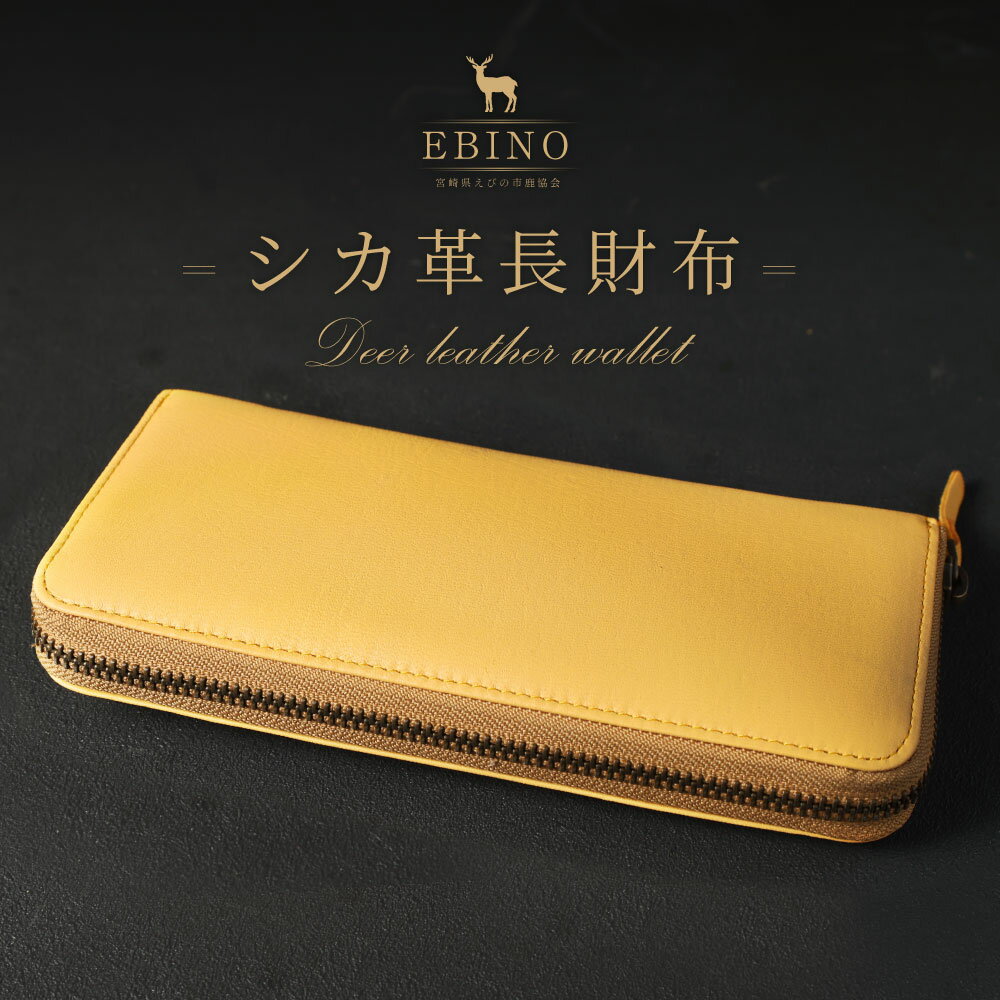 宮崎県えびの市の画像2