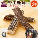 【ふるさと納税】ペット用品 野生鹿角 3本 長さ10cm 幅2~3cm程度 小型犬用 おもちゃ 犬用 鹿の角 半割角 犬 ガム 骨 デンタルケア 宮崎県産 送料無料