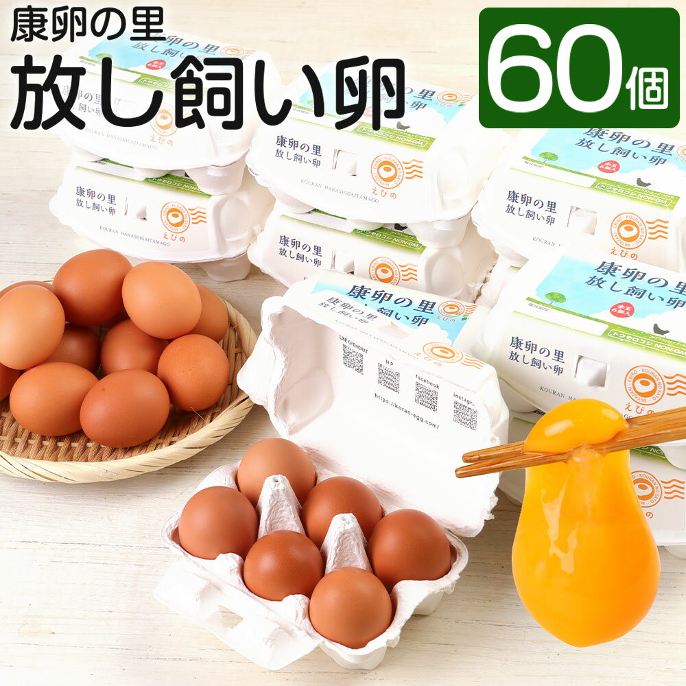 13位! 口コミ数「0件」評価「0」卵 康卵の里「放し飼い卵」 卵60個 宮崎県えびの市産 九州産 国産 玉子 生卵 鶏卵 たまご タマゴ 破損保証5個含む 送料無料 卵白 卵･･･ 