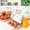 鶏が自由に動き回れる自然に近い状況で「平飼い」した鶏の卵です。 心身ともに健康な鶏の卵で、食べる人にも元気になって欲しいと思います 卵は、霧島山麓の清らかな天然水と、こだわりの飼料にて、健康で元気な鶏達から育まれる「康卵」です。 「召し上がってもらうことで健康になって頂きたい」との想いで生産された、コクと旨味のある濃厚な味わいの康卵をご堪能いただけます。 ●「康卵の里」こと有限会社 東康夫養鶏場では、鶏や鶏舎に対し、殺虫剤や殺菌剤などの化学薬剤等に頼らないオーガニック的な飼育を約40年実践しています。 ●鶏に給与する飲み水には霧島山系から湧き出るミネラル豊富な天然水にマイナスイオン（電子）を付加し活性化させた電子イオン水を与えています。 ●飼料は、NonGmo且つポストハーベストフリー（PHF）のものを使用し、マイナスイオン（電子）を24時間常時付加することによって、残留農薬や化学肥料などの有害物質の危険性を中和し、リスクを排除し、さらに、天然ミネラルや有用微生物（EM・乳酸菌）を活用した発酵飼料を加え与えています。 その他様々な取り組みの結果、本当に安全で健康な親鶏へと成長します。 そんな鶏達から産まれた「康卵」は殻がしっかりと固く、黄身はプリプリとしたハリとツヤがあり、こんもりと盛上っているのが特徴です。 商品説明 名称 康卵の里「放し飼い卵」 産地 宮崎県えびの市産 内容量 ・康卵の里放し飼い卵:60個（個卵重52g～76g未満） ※破損保証5個含む 原材料名 鶏卵 賞味期限 卵:20日 保存方法 高温、多湿、直射日光を避け、涼しい場所に保管してください。 提供者 有限会社 東康夫養鶏場 注意事項 ※たまご発送につきましては、破損がないよう十分に注意をしておりますが、配送中に破損があった場合のために、あらかじめ破損代替品としてのたまごを含んだ商品となっております。 保証個数以内の破損につきましては、ご容赦ください。 ※ご注意事項 お届け後は冷蔵庫（10℃以下）で保存してください。 生食の場合は賞味期限内に使用し、賞味期限経過後及び、殻にヒビの入った卵は、なるべく早めに充分加熱調理してお召し上がりください。 工夫やこだわり 「やがて命に変るもの」だから、食べることで体が喜び健康に繋がるようにと、約40年前からオーガニック的な飼育を実践しています。 化学薬品を使わないことで多くの手間暇がかかりますが、「未来を担う子供達」のために日々励んでいます。 関わっている人 長年農場を支えてくれているスタッフの皆様のご協力のもと、現会長の父と母、私と妻、弟で4万羽と鶏達と一緒に康卵を生産、出荷しています。 環境 九州・霧島連山を有する加久藤カルデラの外輪山中腹に所在し、自然の織りなす豊かな環境で鶏卵を生産しています。 雄大な山々に磨かれた地下水は康卵の命。自然恵まれた環境に感謝です。 時期 創業者の東康夫（現会長）は、農家の息子として生まれ、高校生の時に養鶏の道へ進むことを決心。 19歳で渡米し養鶏の基礎を学び、21歳の時に帰国するとすぐさま起業し、立地場所の選定や整地・開拓、鶏舎づくりなど全てに携わり、東康夫養鶏場を立ち上げました。 当初は、国や組合などが定める安全基準や指導に従い、農薬・消毒を使用しながら飼育していましたが、次第にそれに対し疑問を抱くようになりました。 というのも、鶏が病気にかかりにくくするために農薬を使用するわけですが、農薬の効果が薄くなり鶏が病気がちになると、さらに強い農薬の使用を勧められ、以降このサイクルが繰り返されるばかりだったのです。 農薬を使用しても病気が無くなるわけでもなく、ましてや農薬にまみれた鶏の肉や卵を食べる消費者や子供達のことを想像すると、顔向けできないと考えるようになりました。 そこで自らの強い意志により、農薬などに頼らない飼育法に切り替える決断を行いました。 当時、農薬がなければ家畜は育たないと考えられており、無農薬飼育に関しては指導者もいなければ、農法の確立もされていない不透明なものでした。 そのため周りからは変わり者扱いされたり、非難の声を浴びせられるなど、四面楚歌の状態でした。 それでも、“必ず良いものが作れる”と信じ、愚直なまでに己の意志を貫き通してきました。 恵まれた自然を最大限に活かし、水は九州・霧島連山の恵みがもたらす地下水を使用、餌には乳酸菌などの有効微生物群を含めるなど、鶏の健康管理に最大限の注意を払いながら飼育を行い続けました。 やがて、その信念は見事に的中します。 農薬など化学薬品を断ったことで、鶏が病気に侵されやすくなるのかと思いきや、逆に驚くほど健康になり、それは鶏達の肉質や血液の状態、卵の質など、あらゆる面で圧倒的な違いとなって表れました。 今、世の中には「安心・安全」を謳った商品が数多く出ていますが、それらは、消費者が食中毒をおこさないよう殺菌・消毒を心がけることが基準となっているものも少なくありません。 私たちの考える安全とは、化学薬品などにたよることなく自然の力を十分に活用した農法で飼育し、「本当に体に取り入れても安全だ」と、自信を持って言える商品を作ることです。 お礼の品に対する想い 慢心することなく最良の卵を生産することを常に心がけることはもちろんのこと、高い志をもつ地域の事業者の皆さまと連携し、より多くのお客様に心から喜んで頂けるような商品をご提案していきたいと考えています。 ふるさと納税でやりたい事や生まれた変化 私を含め農仲間にとっては、寄附者の皆さまの反響がとても大きなやり甲斐となっています。 私達が益々地域で頑張り、一層貢献できるようになったことに、誇りを持てます。 ・熨斗、包装のご指定はできません。 ・寄附申込みのキャンセル、返礼品の変更・返品はできません。あらかじめご了承ください。 ・ふるさと納税よくある質問はこちら寄附金の使い道について (1) 地域福祉の充実などに関する事業 (2) 自然環境の保全などに関する事業 (3) 伝統文化の保存などに関する事業 (4) その他市長にお任せ 受領申請書及びワンストップ特例申請書について ■受領書 ・入金確認後、注文内容確認画面の【注文者情報】に記載の住所に2週間前後で発送いたします。 ■ワンストップ特例申請書 ・ワンストップ特例申請書は、希望する方に受領証明書と共にお送りいたします。 ・ワンストップ特例申請書は入金確認後2週間前後に住民票住所へお送り致します。必要情報を記載の上返送してください。 ■ワンストップ特例申請書の送付先 〒889-4292 宮崎県えびの市大字栗下1292番地 えびの市役所 企画課 定住対策係　行 【申請書送付時に必要な書類】 ・ワンストップ特例申請書 (市町村民税・道府県民税 寄附金税額控除に係る申告特例申請書) ・個人番号確認書類 ・本人確認書類 ※記入方法など、詳しくはこちらをご覧ください。↓ https://event.rakuten.co.jp/furusato/guide/onestop.html