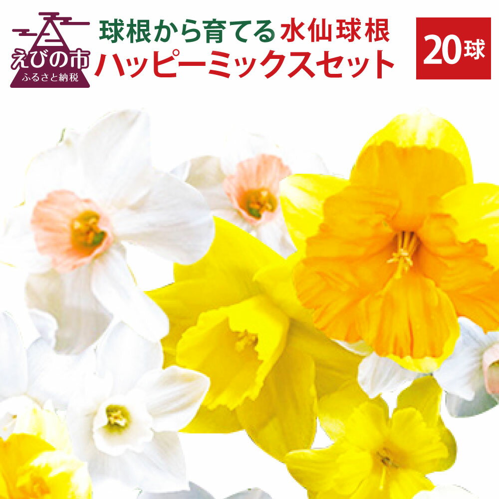 【ふるさと納税】【2024年10月上旬発送開始】水仙球根 ハッピーミックスセット 20球 無選別 スイセン 花 フラワー 園芸 ガーデニング 植物 送料無料のサムネイル