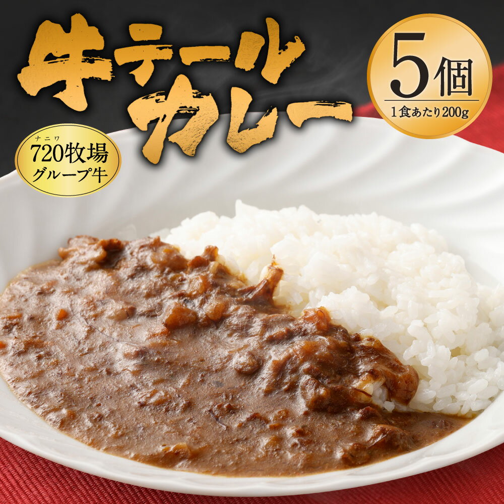 【ふるさと納税】えびの高原 牛テールカレーセット 200g×5個 合計1kg レトルト レトルト食品 レトルトカレー ギフト 牛肉 送料無料