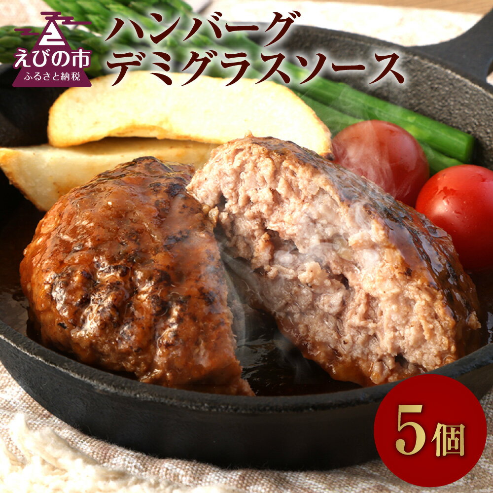 えびの高原 ハンバーグ デミグラスソース 5パック 合計1kg 200g×5パック お肉 肉 惣菜 温めるだけ パック 成長ホルモン不使用 レンジ対応 送料無料 お手軽 時短 宮崎県