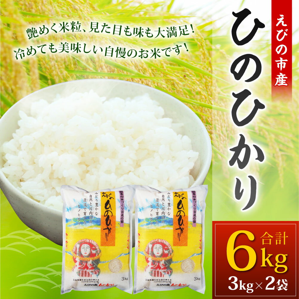 【ふるさと納税】【令和5年産】えびの産 ひのひかり 3kg×2袋 合計6kg お米 精米 白米 ご飯 国産 宮崎県産 九州産 送料無料