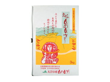 【ふるさと納税】令和2年産 えびの産 ひのひかり 3kg×4袋 合計12kg お米 精米 白米 ご飯 国産 宮崎県産 九州産 送料無料