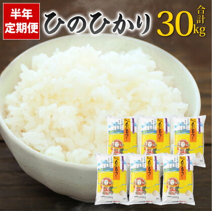 【半年定期便】えびの産 ひのひかり 5kg×6ヶ月 合計30kg お米 精米 白米 ご飯 国産 宮崎県産 九州産 送料無料