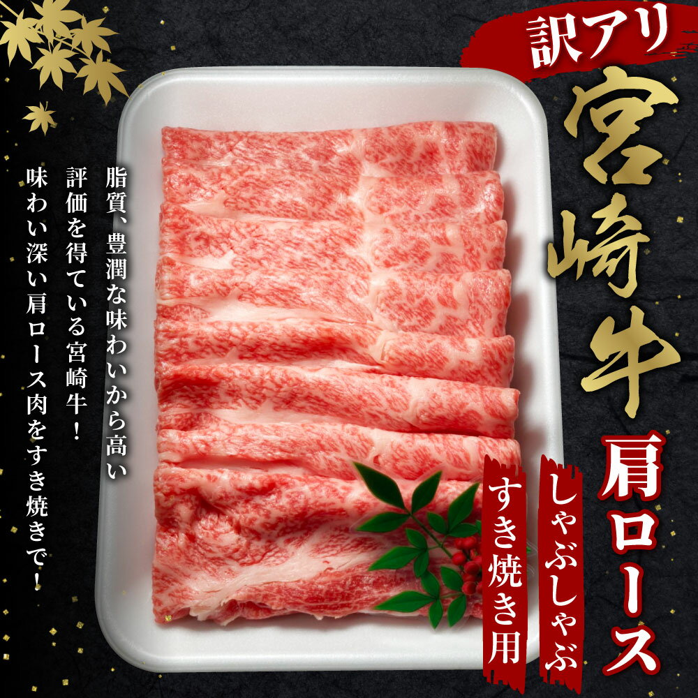 宮崎県えびの市の画像2