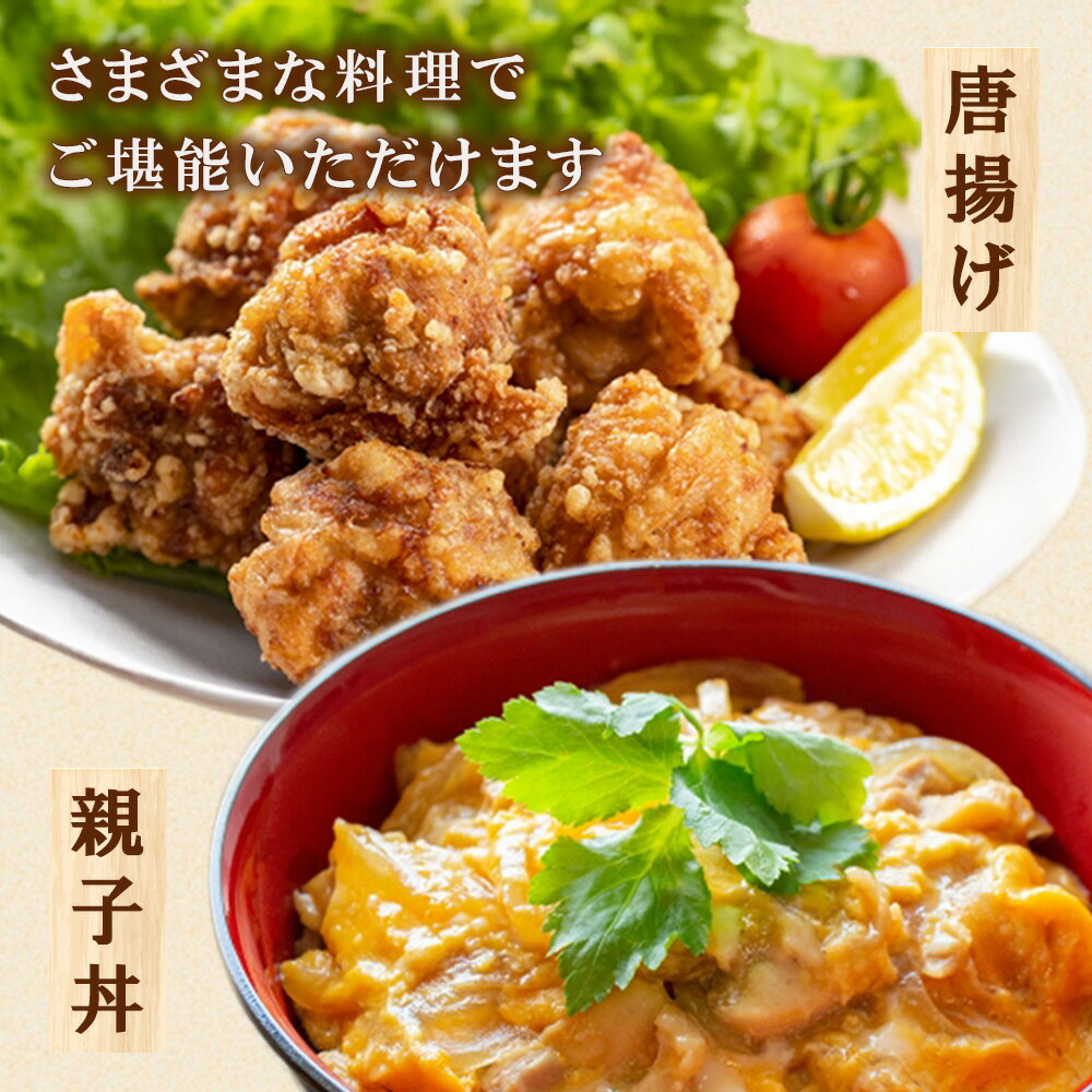 宮崎県えびの市の画像3