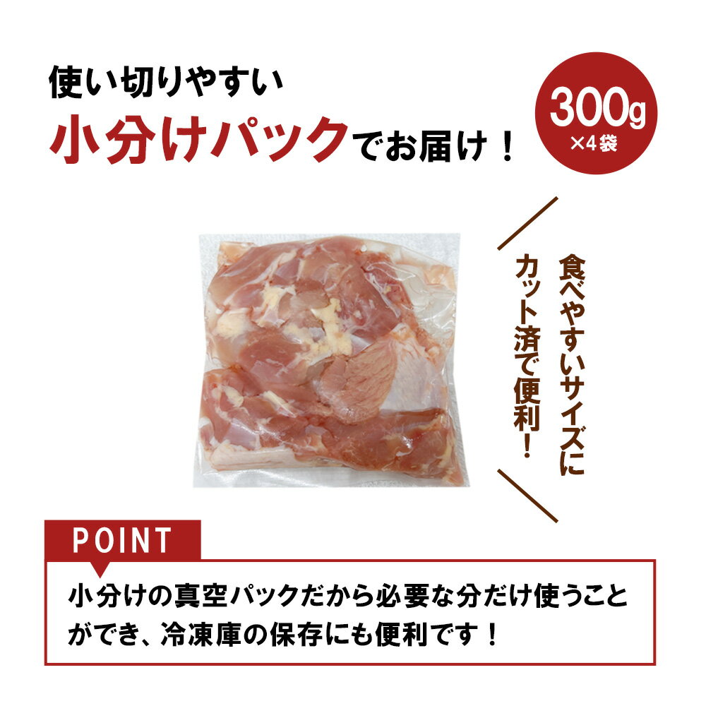 宮崎県えびの市の画像2