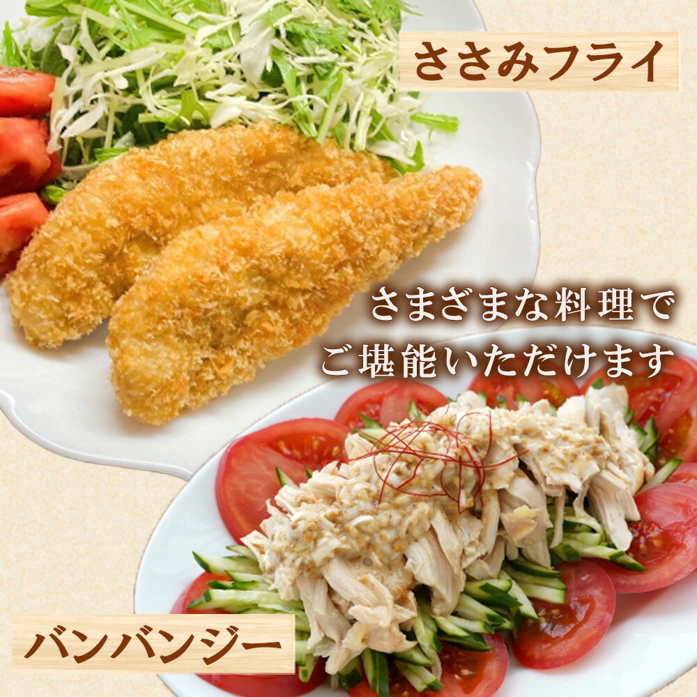 宮崎県えびの市の画像3