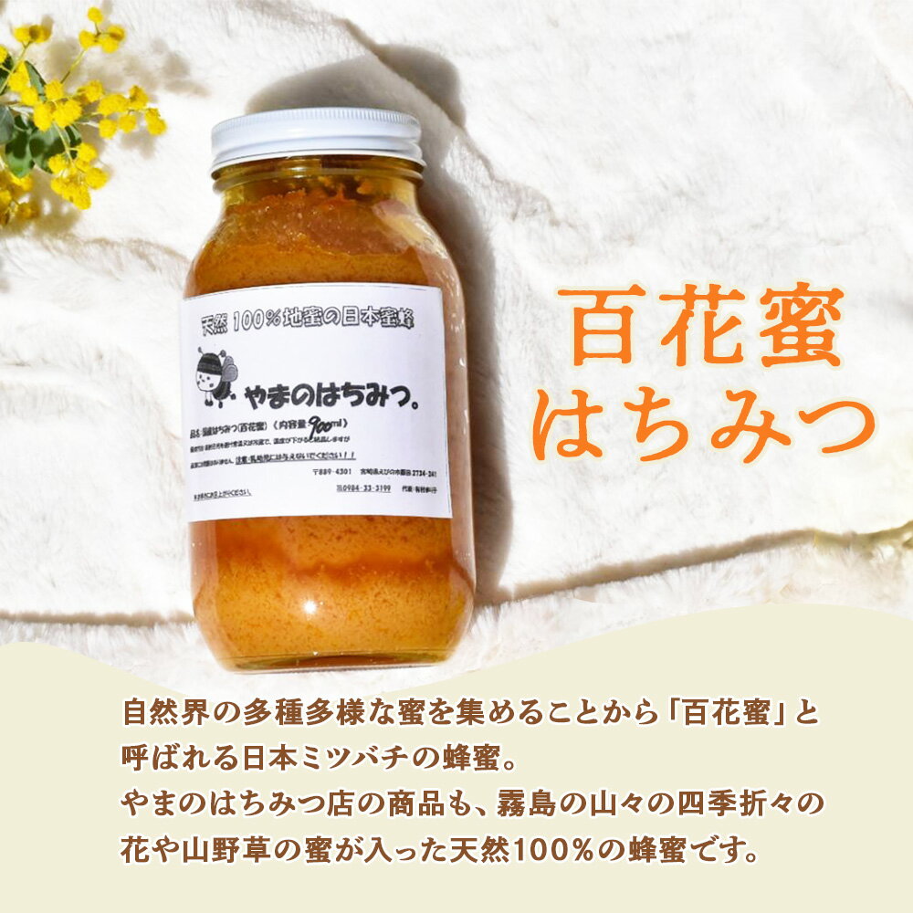 宮崎県えびの市の画像2