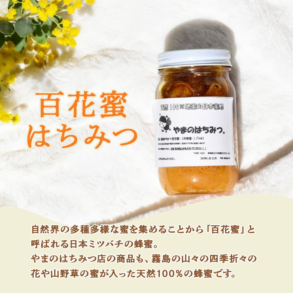 宮崎県えびの市の画像2