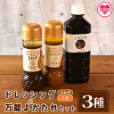 【ふるさと納税】<野菜が食べたくなるドレッシング2種類と万能「よかたれ」セット>玉ねぎ(200ml)、人参(200ml)、宮崎産こだわりの素材を使用した醤油タレ...